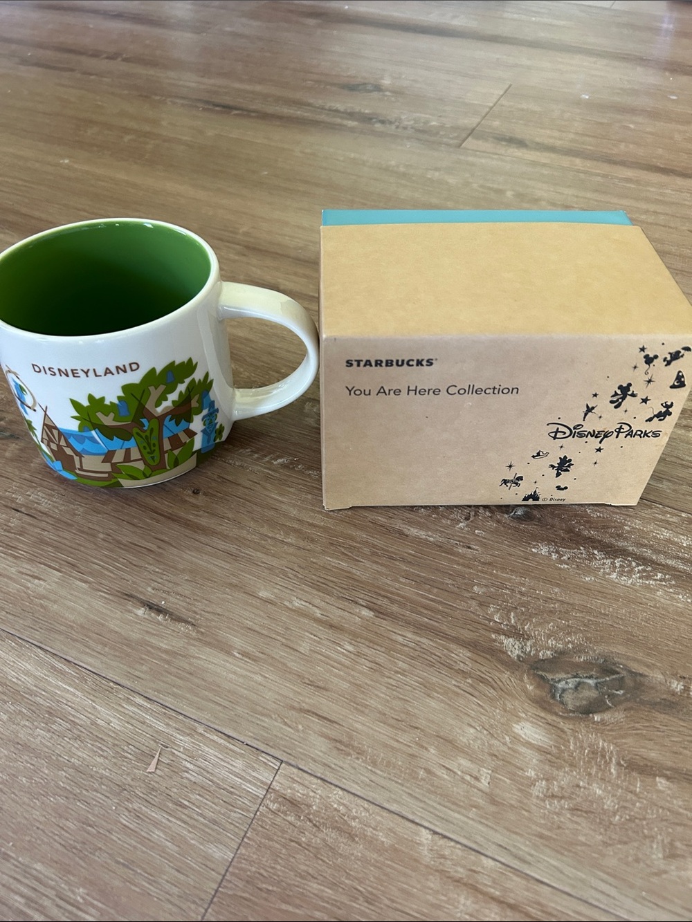 Starbucks Disneyland You Are Here Mug — White Exterior with Green Interior